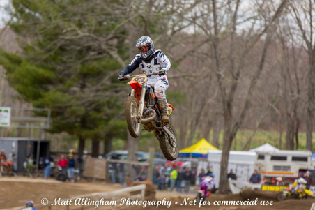 Enlarge photo 397