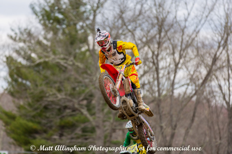 Enlarge photo 422