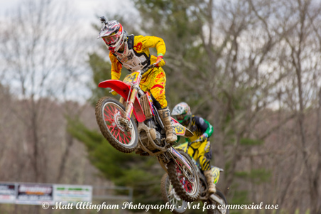 Enlarge photo 423