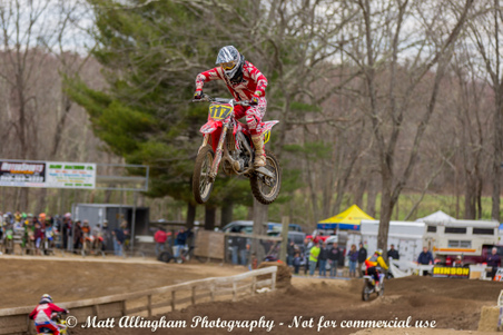 Enlarge photo 435