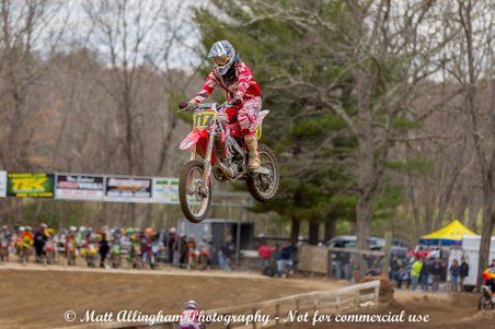 Enlarge photo 436