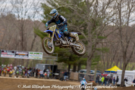 Enlarge photo 446