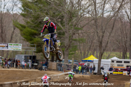 Enlarge photo 449