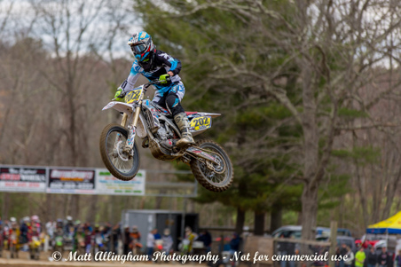 Enlarge photo 451