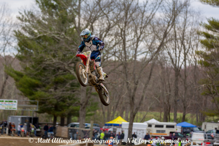 Enlarge photo 461