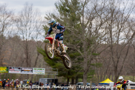 Enlarge photo 462