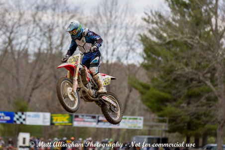 Enlarge photo 463