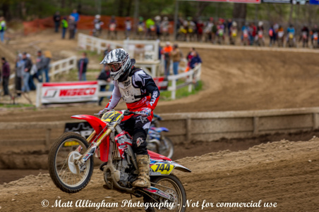 Enlarge photo 485