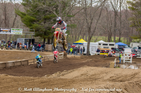 Enlarge photo 486
