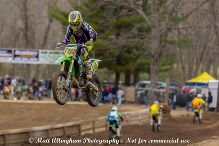 Enlarge photo 491