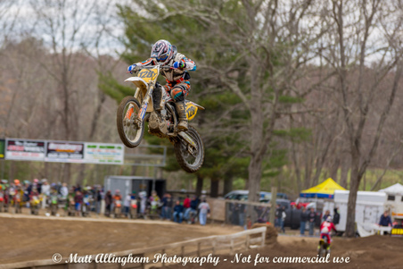 Enlarge photo 496