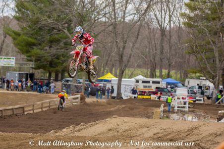 Enlarge photo 498