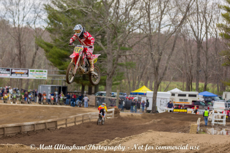 Enlarge photo 499
