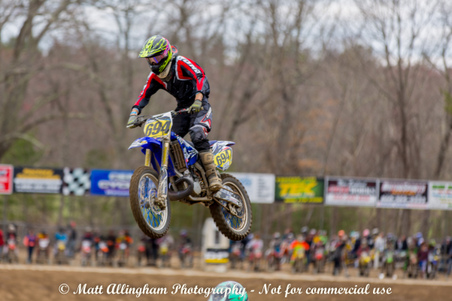 Enlarge photo 523