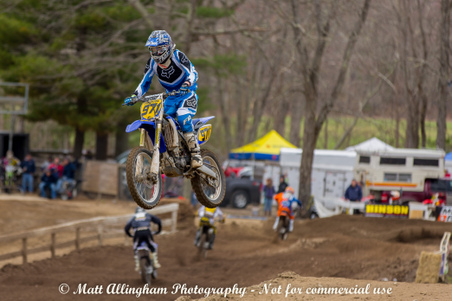 Enlarge photo 532
