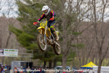Enlarge photo 533