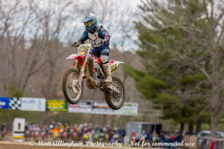 Enlarge photo 539