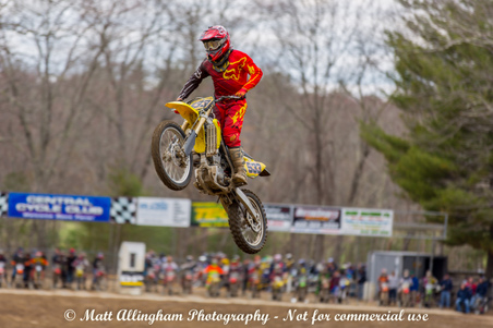 Enlarge photo 541