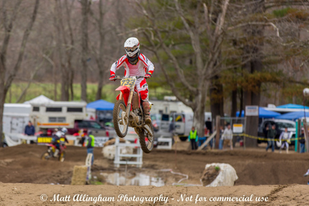 Enlarge photo 557