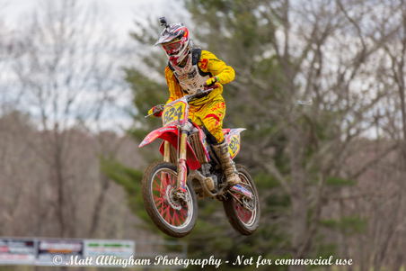 Enlarge photo 561