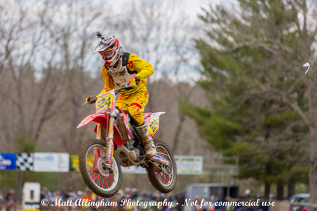Enlarge photo 562