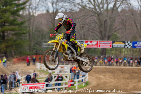 Enlarge photo 625