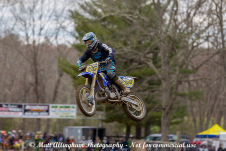 Enlarge photo 635