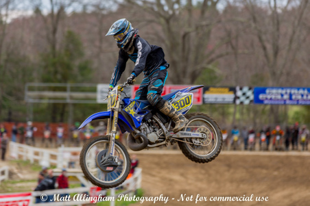 Enlarge photo 638