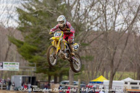 Enlarge photo 742
