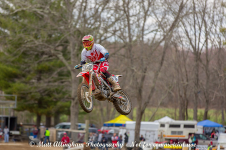Enlarge photo 753