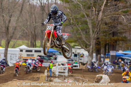 Enlarge photo 873