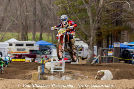 Enlarge photo 1119