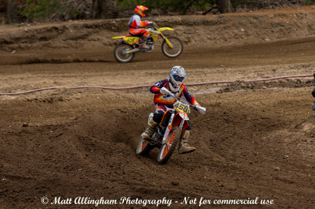 Enlarge photo 1139