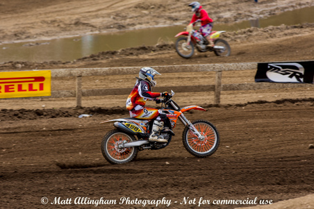 Enlarge photo 1146