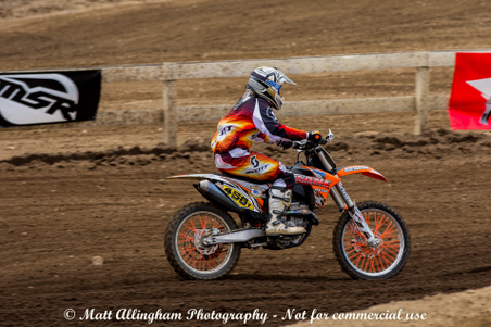 Enlarge photo 1160
