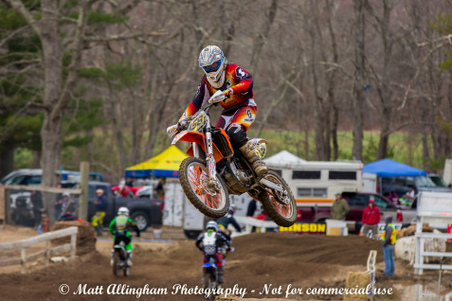 Enlarge photo 1161