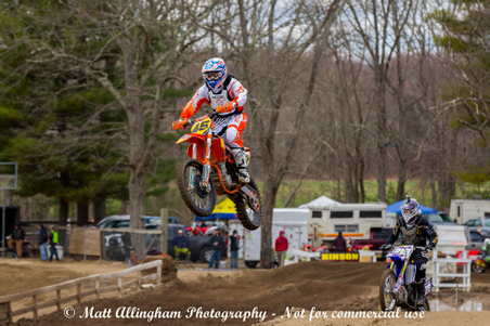 Enlarge photo 1184