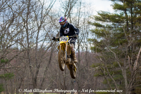 Enlarge photo 1384