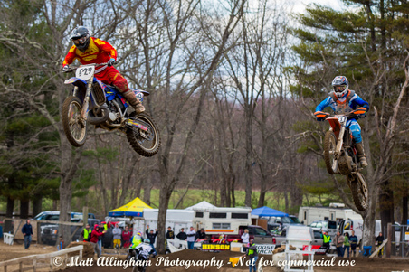 Enlarge photo 1393