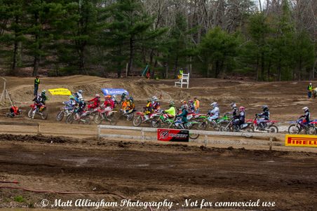 Enlarge photo 1529