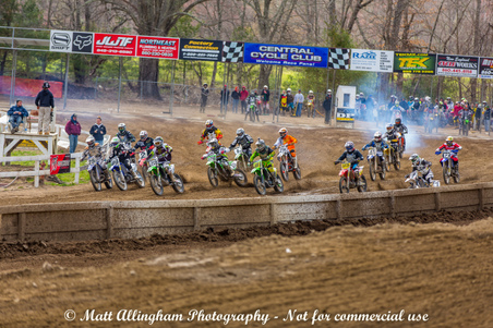 Enlarge photo 1574