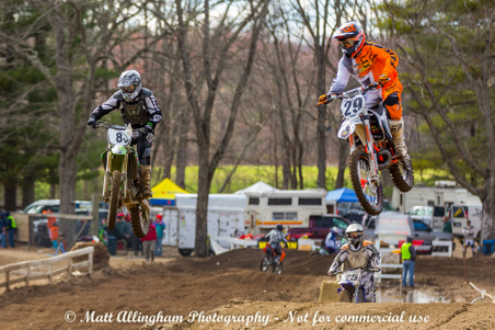 Enlarge photo 1583