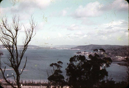 Enlarge photo 70