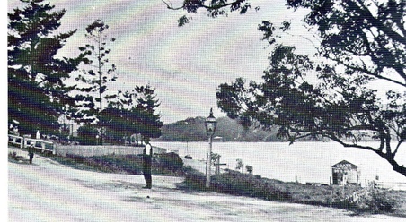 Enlarge photo 183