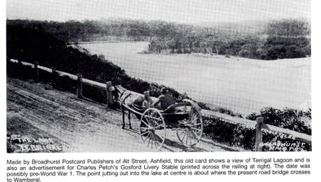 Enlarge photo 197