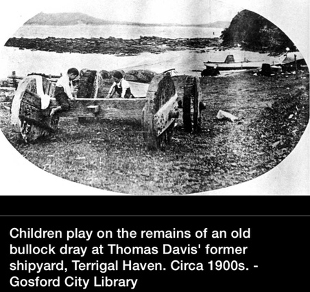 Enlarge photo 228