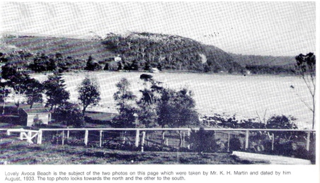 Enlarge photo 229
