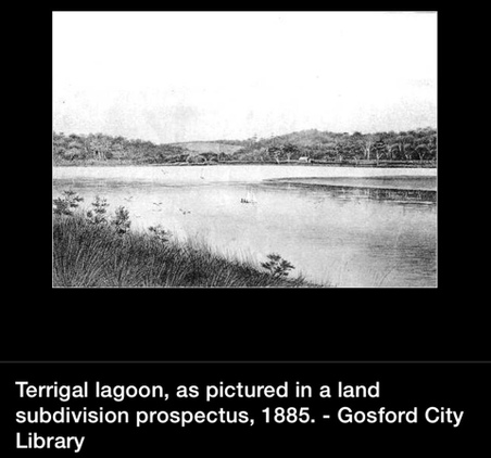 Enlarge photo 244