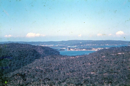 Enlarge photo 251