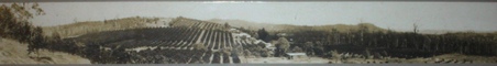Enlarge photo 310